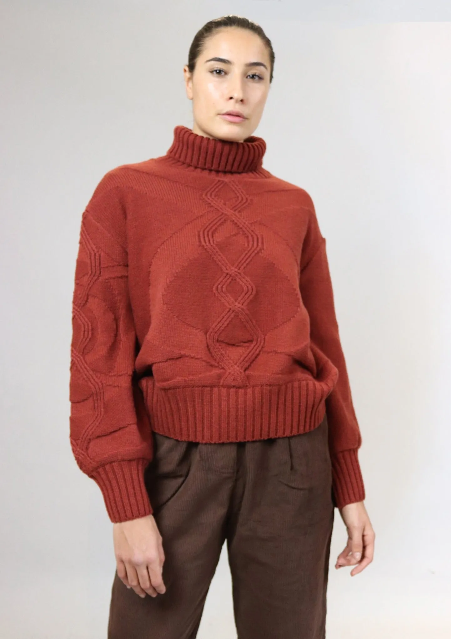 Turtleneck Knit Sweater