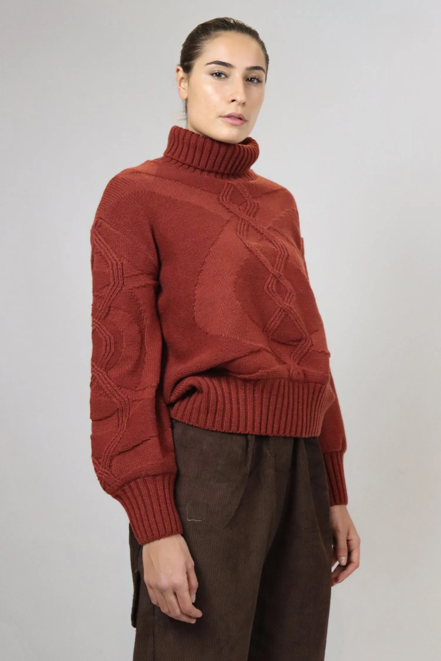 Turtleneck Knit Sweater